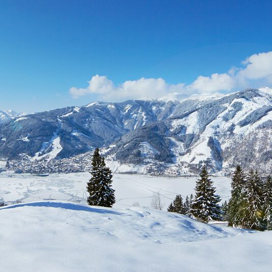 Uitzicht op Zell am See