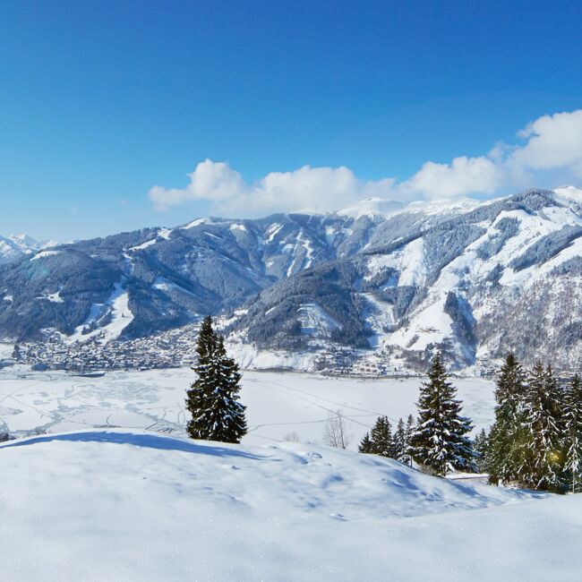 Udsyn på Zell am See